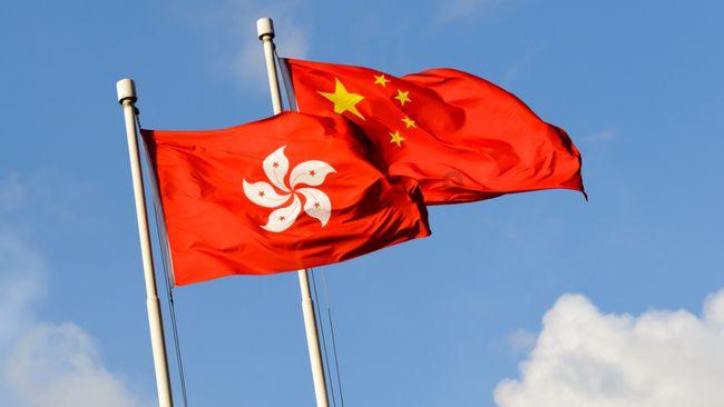 兰陵县矿坑镇鸿雁人才李金华：荒地里打造循环种养新模式